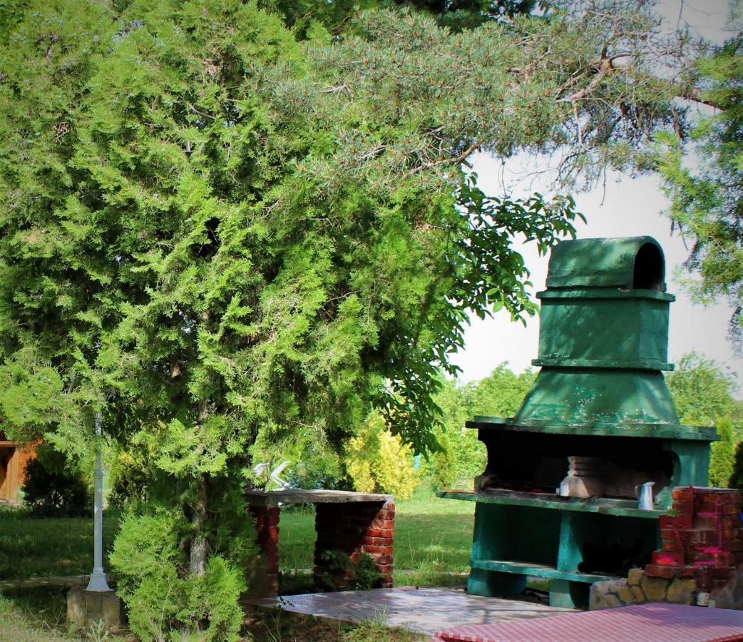 Villa Brvnara Aurora Vista à Velika Remeta Extérieur photo