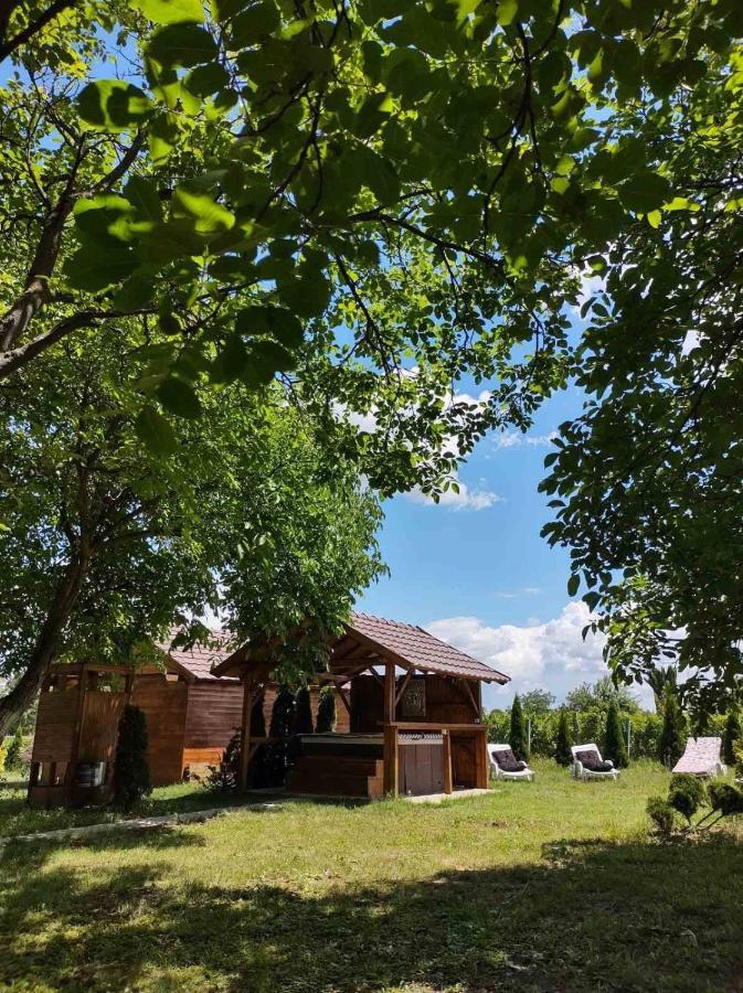Villa Brvnara Aurora Vista à Velika Remeta Extérieur photo