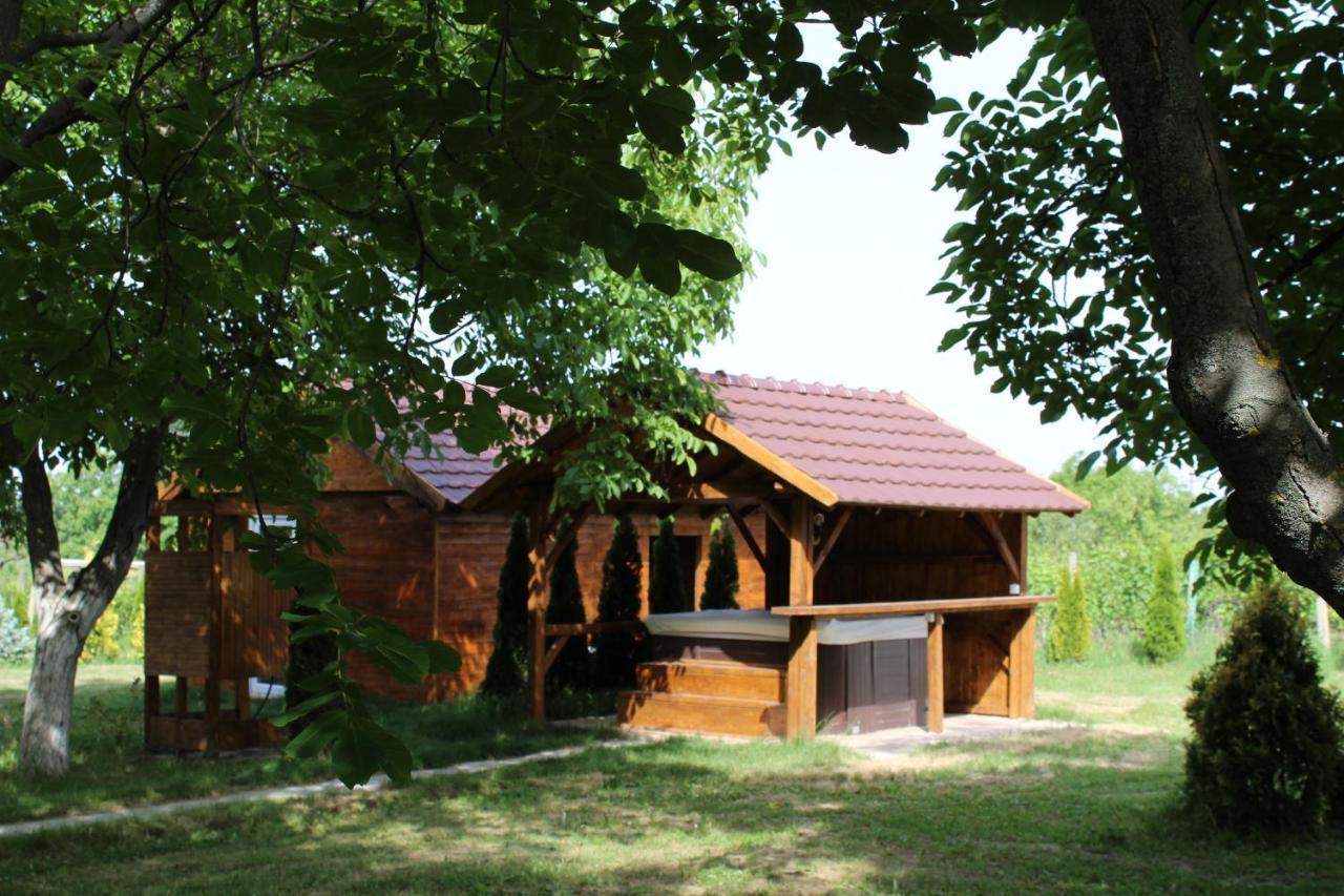 Villa Brvnara Aurora Vista à Velika Remeta Extérieur photo