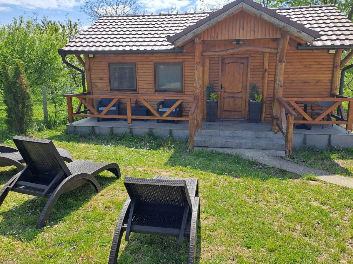 Villa Brvnara Aurora Vista à Velika Remeta Extérieur photo